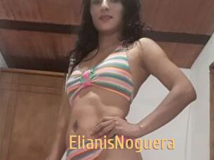 ElianisNoguera