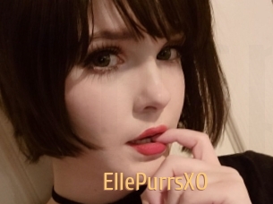 EllePurrsXO