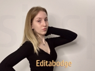Editabodge