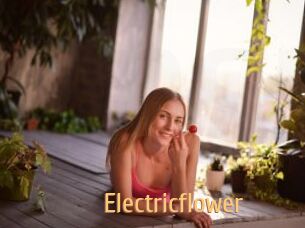 Electricflower
