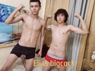 elias_bigcock Single Spass