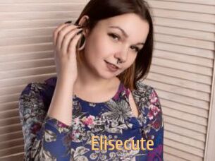 Elisecute