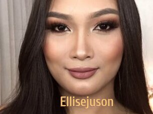 Ellisejuson