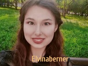 Elvinaberner