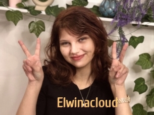 Elwinacloud