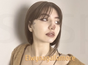 Elwynagallamore