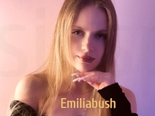 Emiliabush