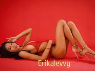 Erikalevvy