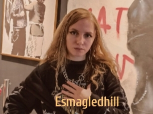 Esmagledhill