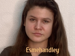 Esmehandley