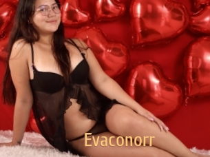 Evaconorr