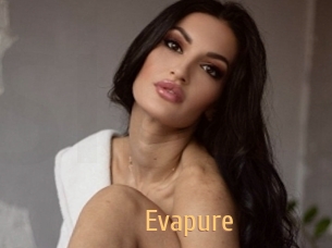 Evapure