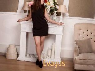 Evayus