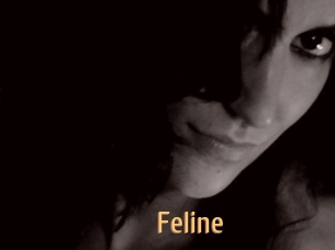 Feline