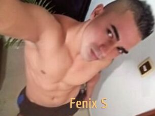 Fenix_S