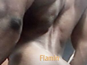 Flamin