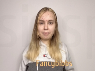 Fancybibbs