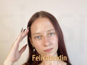 Felicebeldin