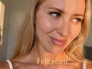 Felicecam