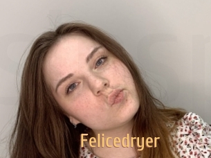 Felicedryer
