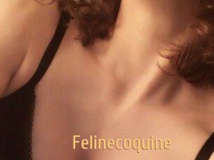 Felinecoquine