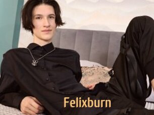 Felixburn