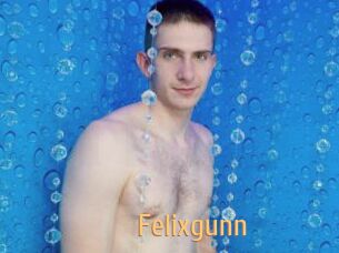 Felixgunn