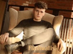 Flashwallis