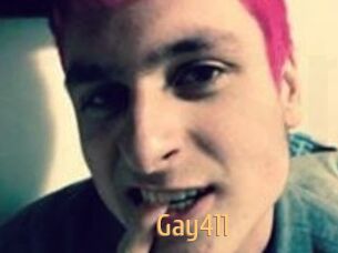 Gay411