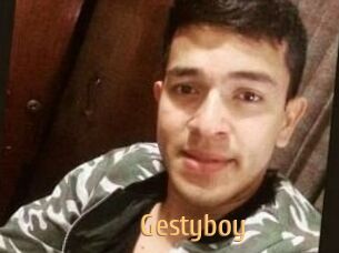 Gestyboy