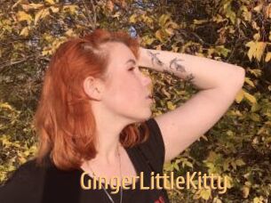 GingerLittleKitty