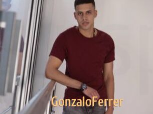 GonzaloFerrer