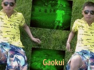 Gaokui