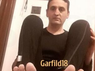 Garfild18