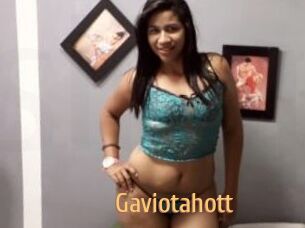 Gaviotahott
