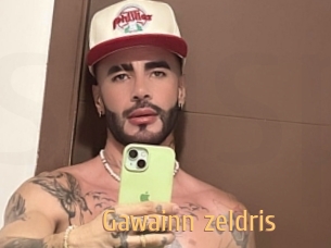 gawainn_zeldris Single Spass