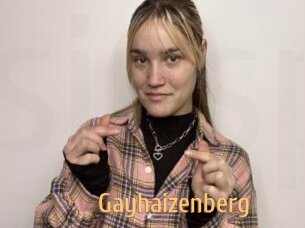 Gayhaizenberg