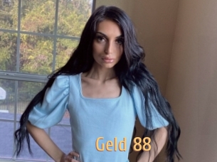 geld_88 Single Spass