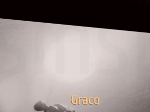 graco Single Spass