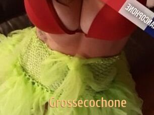 Grossecochone
