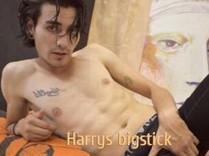 Harrys_bigstick