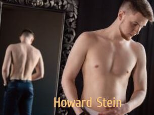 Howard_Stein