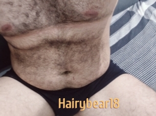 Hairybear18