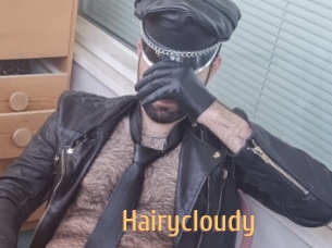 Hairycloudy