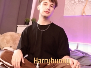 Harrybunny