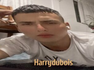 Harrydubois