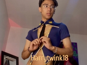 harrytwink18 Single Spass