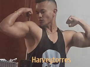 Harveytorres