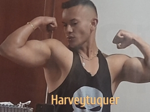 Harveytuquer