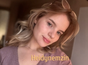 Heidynemzin